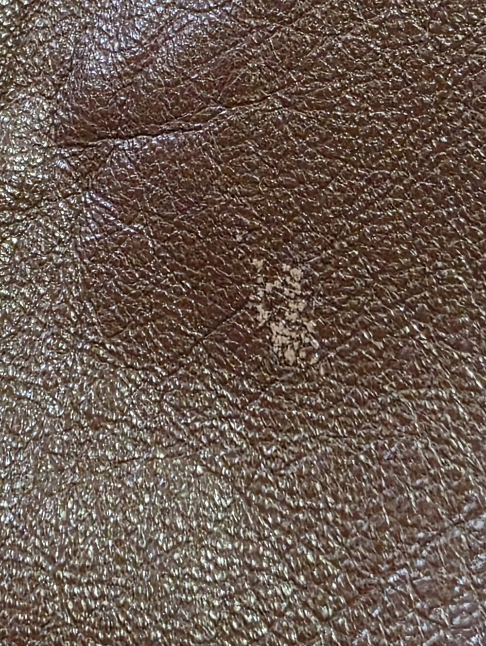 Leather Jacket - Picture 11 of 14